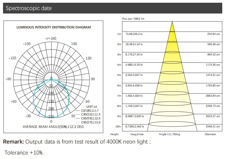 DL-N010010-3D LED-Neon-Flex