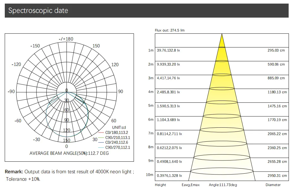 DL-N010010C LED-Neon-Flex