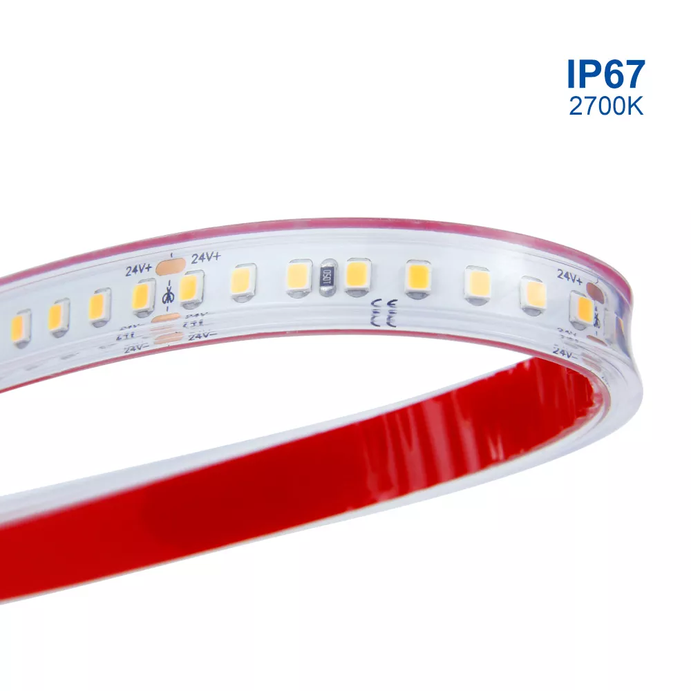 DL-S2835L160V24-PD383 SMD2835 LED strip light - 160 LEDs/m / 10mm / DC24V / 14.4w/meter